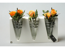 ���� SERAX 7208834   2500�.jpg