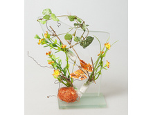 ������������� ����������   215 �.jpg