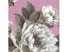 ����� 012 ��� ����� 240 ��� ��� �.jpg