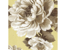 ����� 015 ��� ����� 240 ��� ��� �.jpg