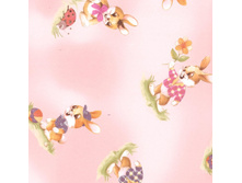 ����� ���� ��� ����� 240 ��� ��� �.jpg