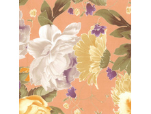 ���� 14 ��� ����� 240 ��� ��� � .jpg