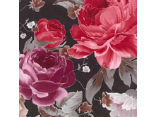 ���� 22 ��� ����� 240 ��� ��� � .jpg