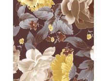 ���� 34 ��� ����� 240 ��� ��� � .jpg