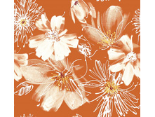 ���� 03 ��� ����� 240 ��� ��� � .jpg