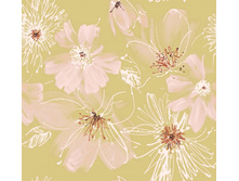 ���� 04 ��� ����� 240 ��� ��� �.jpg