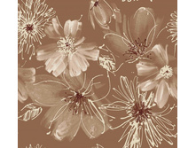 ���� 11 ��� ����� 240 ��� ��� � .jpg