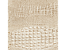 ��� 344 ������ 320 ���� ��� �.jpg