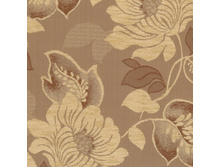 ��� 66� ����� 290 ��� ��� �.jpg