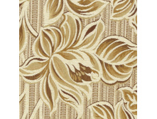 Orlando 2A ����� 240 ��� ��� � .jpg