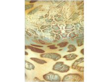 ��������  ���� 240 ��� ��� ���� ������������ �����.jpg