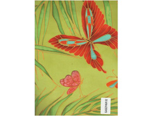 ������� 2 ������� �����  240 ��� ��� ����.jpg