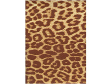 ������� 240 ��� ��� ���� ������������ �����.jpg