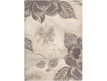 ���� 5� ������ 290 ��� ��� �.jpg