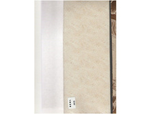 ���� 60 � ������ 290 ��� ��� �.jpg