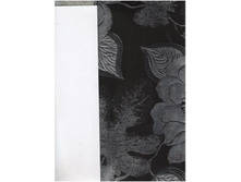 ���� 250 � ������ 290 ��� ��� �.jpg