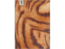 ���� 240 ��� ��� ���� ������������ �����.jpg