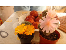 �������