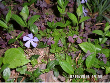 �������� 20 ���.