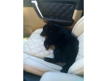 ���� (1).JPG