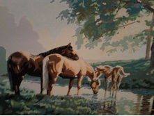 ����� ����������