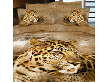 ����� D003.jpg