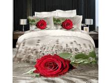 ����� D013.jpg