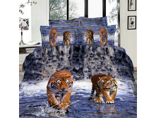 ����� D016.jpg