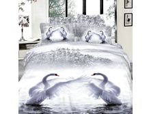 ����� D019.jpg