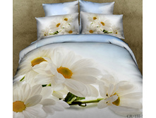 ����� D023.jpg