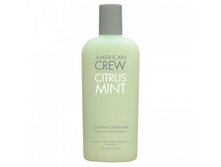 ���. 7202061000 ����������� ����������� ��� ����� Citrus Mint Cooling Conditioner 250 �� ����: 281 ���.