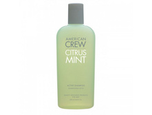 ���. 7202064000 ���������� ������� Citrus Mint Refreshing Shampoo 250 �� ����: 523 ���.