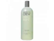 ���. 7202059000 ���������� ������� Citrus Mint Refreshing Shampoo 1000 �� ����: 696 ���.