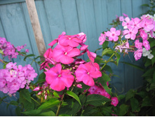 ��������� ���, ��� �� ������ ����� 80 ���