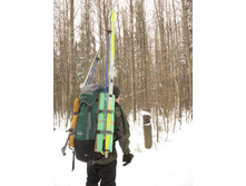 ��� �� ������