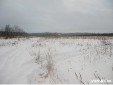 ���� �� ���������