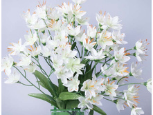 ������� �����������.jpg