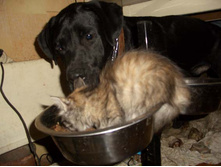 - ��̣! �� �� �������, �������?!