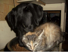 ����� ����� ������ ������, ���� ����� �� �ӣ �������