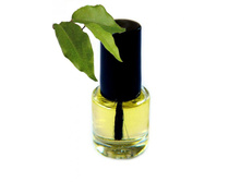 ����� ��� ������� 5��, ������ ������.jpg