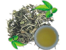 ����� ���� 98+%