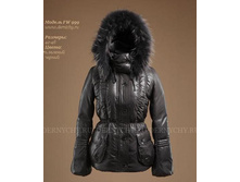 FW 999 2600���.