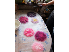 DSCF5480 1.jpg