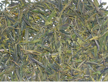 �������� ������ 206+%