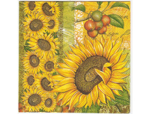 № 16    7 ��.  �� 10 ���