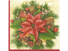 № 20   8 ��.  5 ��� - ���