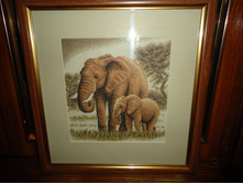 DSC03034 - �����.JPG