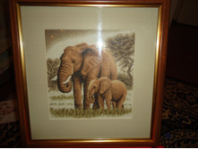 DSC03036 - �����.JPG