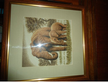 DSC03035 - �����.JPG