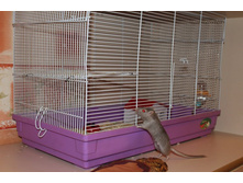 �������� 003.jpg